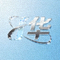 华体会官方应用Logo - 绿色健身品牌标识